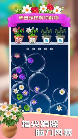 这花太棒了截图3
