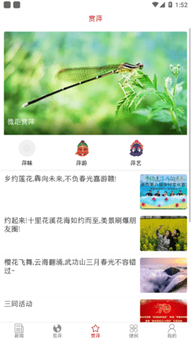今彩萍乡截图3
