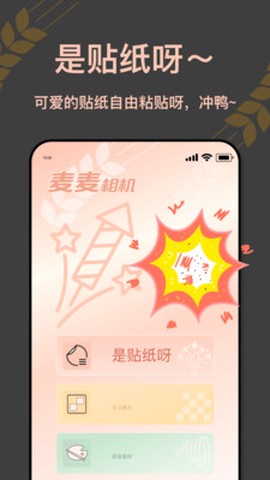 麦麦相机截图3
