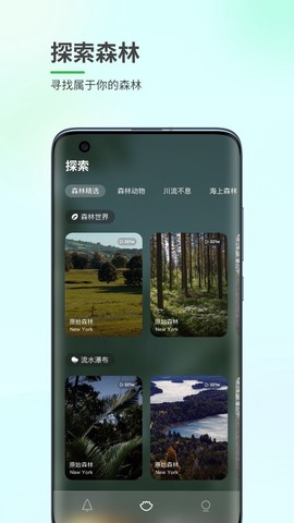 森林白噪音截图2