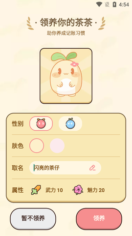茶茶记账截图1