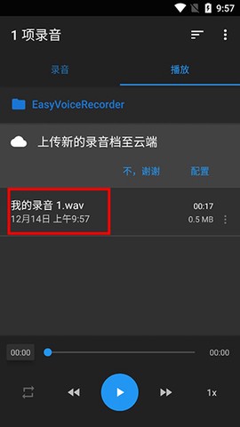 简易录音机专业版[图5]
