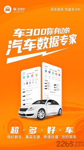 车300二手车截图2