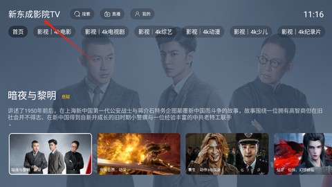 新东成影院TV[图1]
