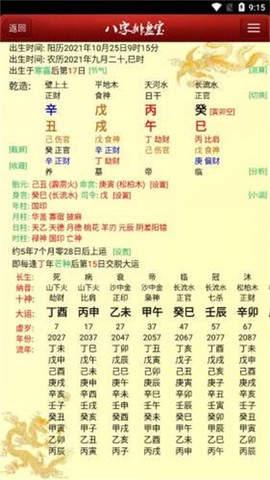 八字排盘宝截图3