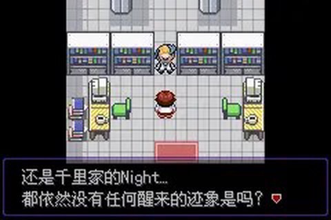口袋妖怪漆黑的魅影截图3