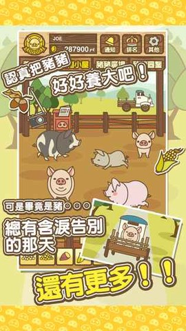 養豬場MIX[图1]
