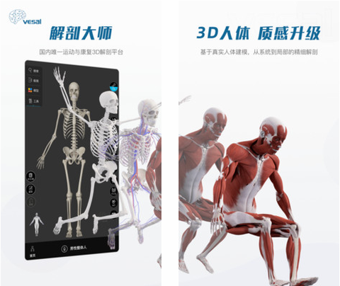 解剖大师[图1]