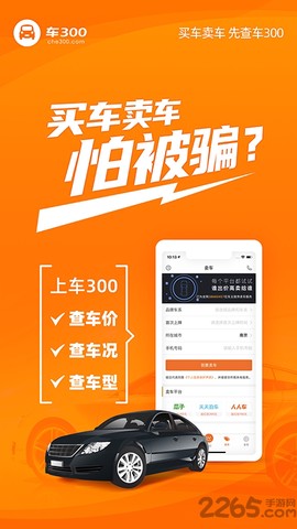 车300二手车截图1