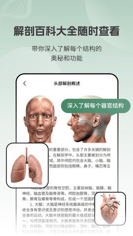 解剖模型Body截图1