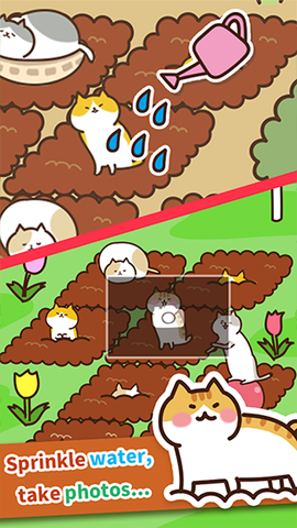 猫咪田园截图3