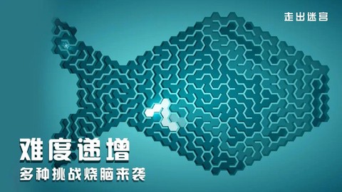 走出迷宫截图2