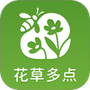 花草多点