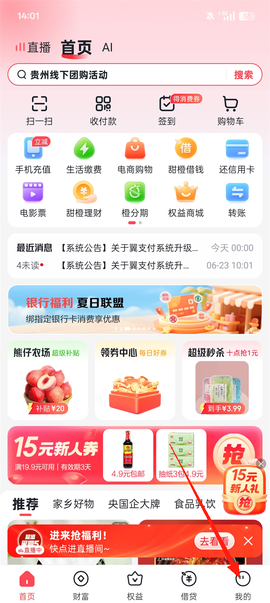 翼支付[图1]