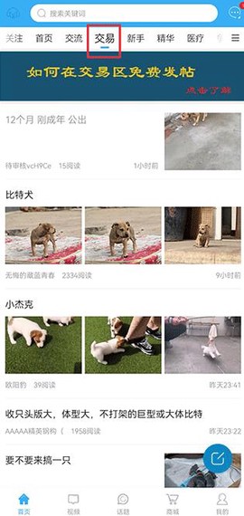 猛犬俱乐部[图2]