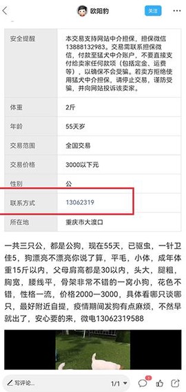 猛犬俱乐部[图3]