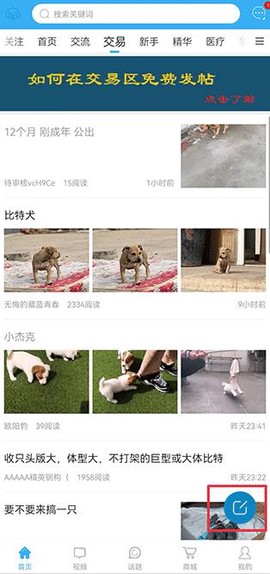 猛犬俱乐部[图4]