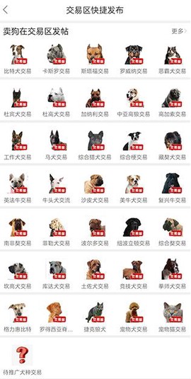 猛犬俱乐部[图5]