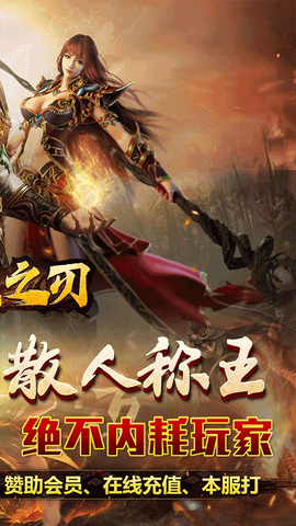 无双之刃截图2