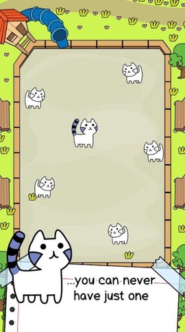 猫咪进化截图3