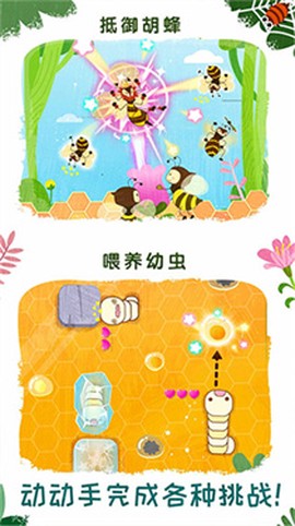 奇妙昆虫世界[图2]