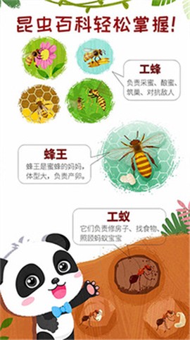 奇妙昆虫世界截图1