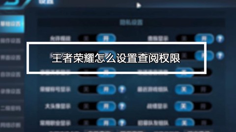 王者荣耀怎么设置查阅[图1]