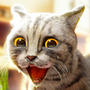 猫咪模拟器2021