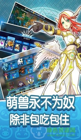 魔兽小宠物[图1]