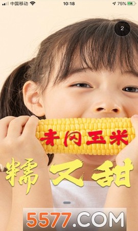 掌上青冈[图1]