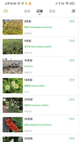 生命观察[图1]