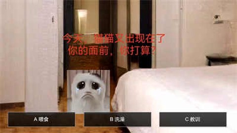 猫鼠特工截图2