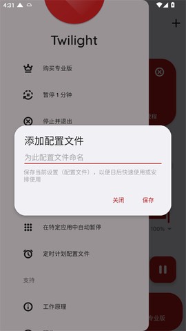 薄暮微光[图2]