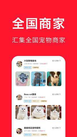 宠物宝[图1]