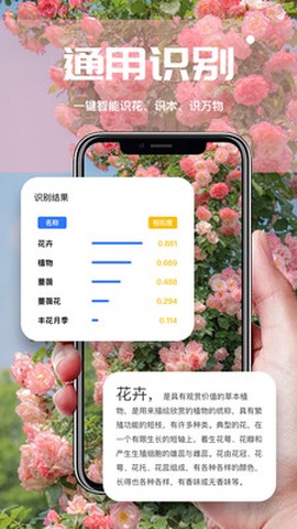 AI扫描君截图3