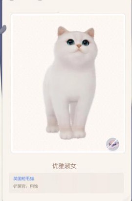 超喵星计划[图4]