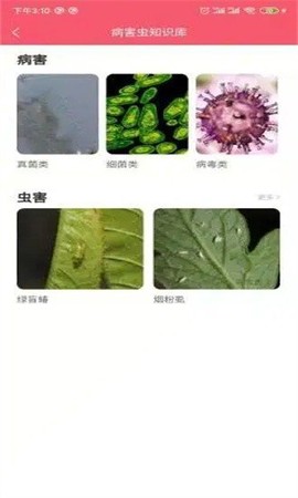 樱桃医生[图1]