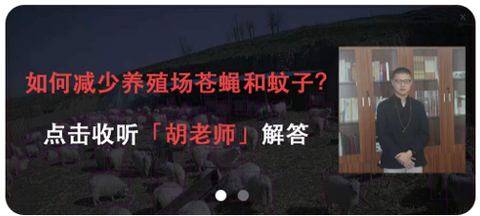 小牧丁[图1]
