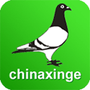 中信网-信鸽信息网