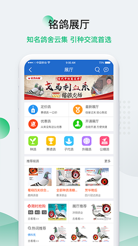中信网-信鸽信息网[图1]
