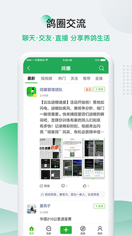 中信网-信鸽信息网截图3