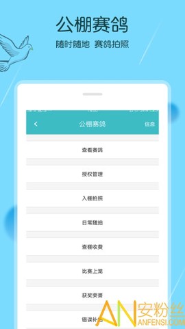 中鸽助手[图1]