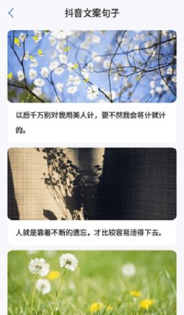 句子文案控截图2