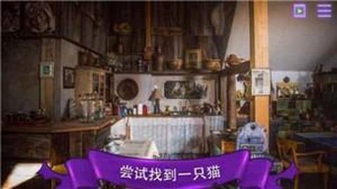 找一只猫截图1