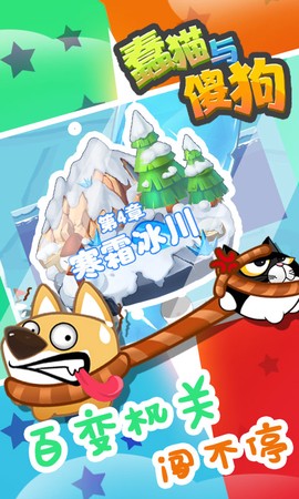蠢猫与傻狗[图1]