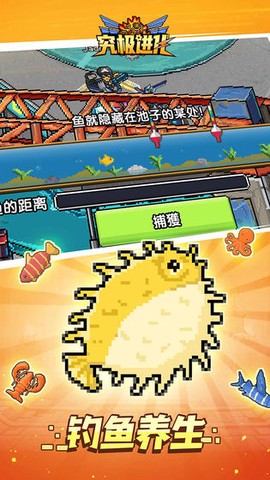 精灵究极进化图1