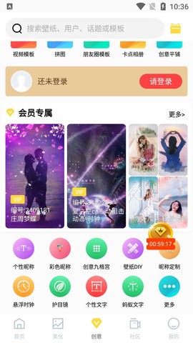 羞兔全局壁纸图2