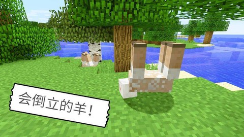 我的世界羊怎么倒立[图2]