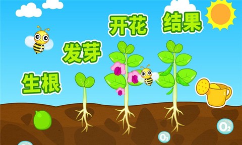宝宝爱自然截图1