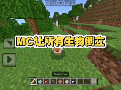 我的世界怎么让猪倒立[图1]